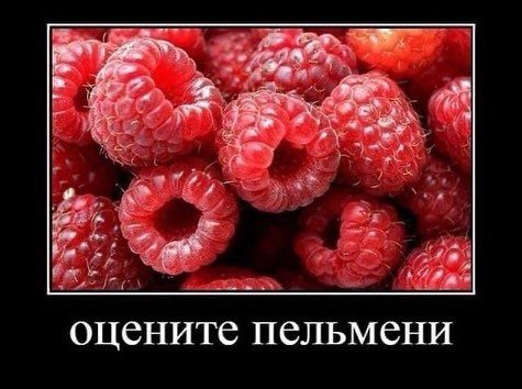 оцените пельмени