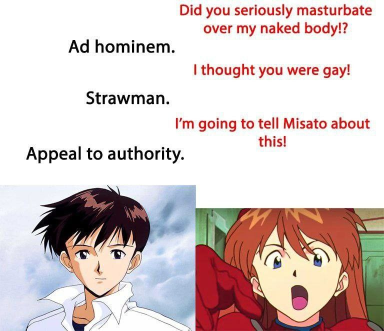 Did you seriously masturbate over my naked body!? hominem. thought you were gay! Strawman. going to tell Misato about this! Appeal to authority. A