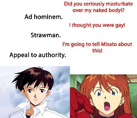Did you seriously masturbate over my naked body!? hominem. thought you were gay! Strawman. going to tell Misato about this! Appeal to authority. A