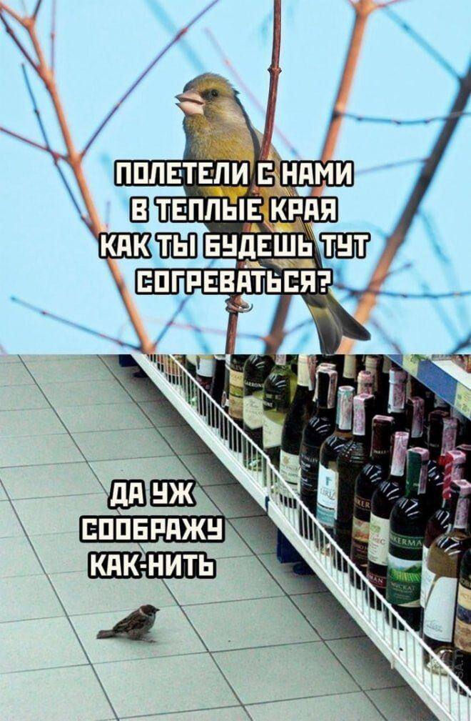 ОПРЕВАТЬСЯ? if СООБРАЖУ