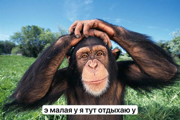 iF А я малая у ятут отдыхаю у