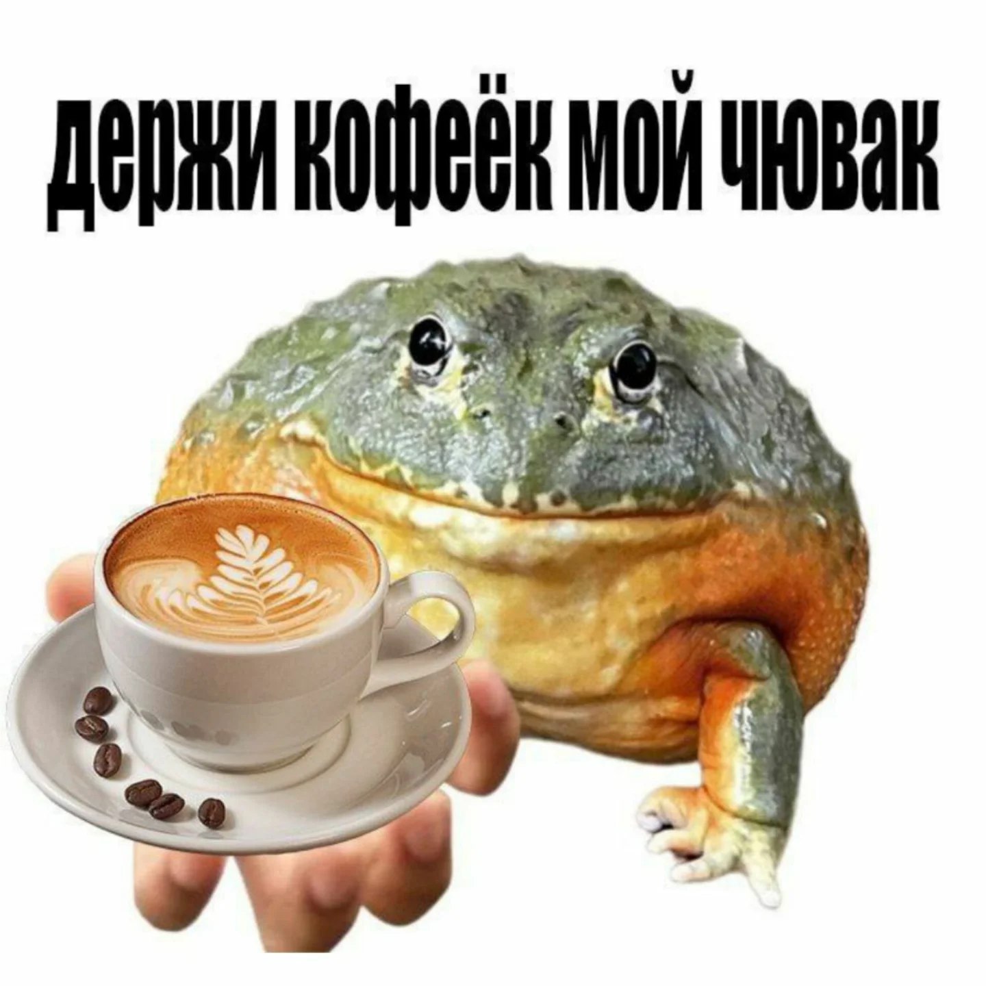 Утречка 🤤