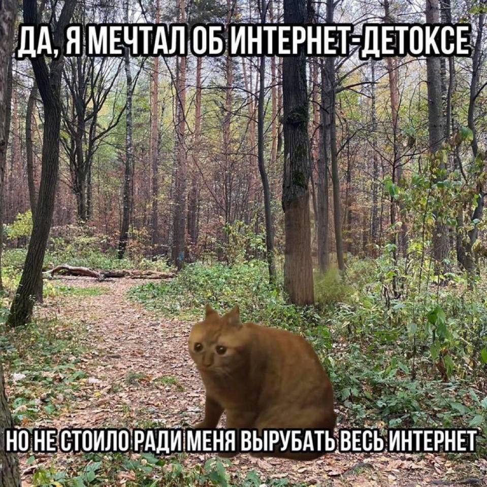 ДА, Я МЕЧТАЛ ОБ HE СТОИЛО РАДИМЕНЯ ВЫРУБАТЬ ВЕСЬ ИНТЕРНЕТ