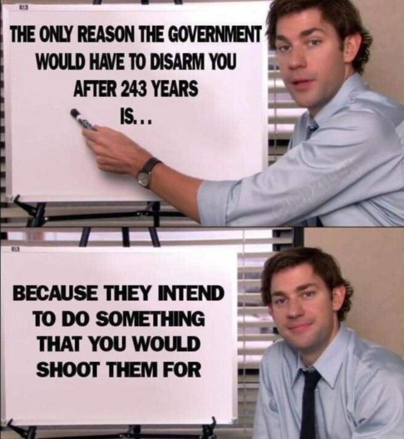 THE ОМУ REASON THE GOVERNMENT WOULD HAVE TO DISARM YOU 3 AFTER 243 YEARS за BECAUSE THEY INTEND TO SOMETHING 174 THAT YOU WOULD SHOOT THEM FOR