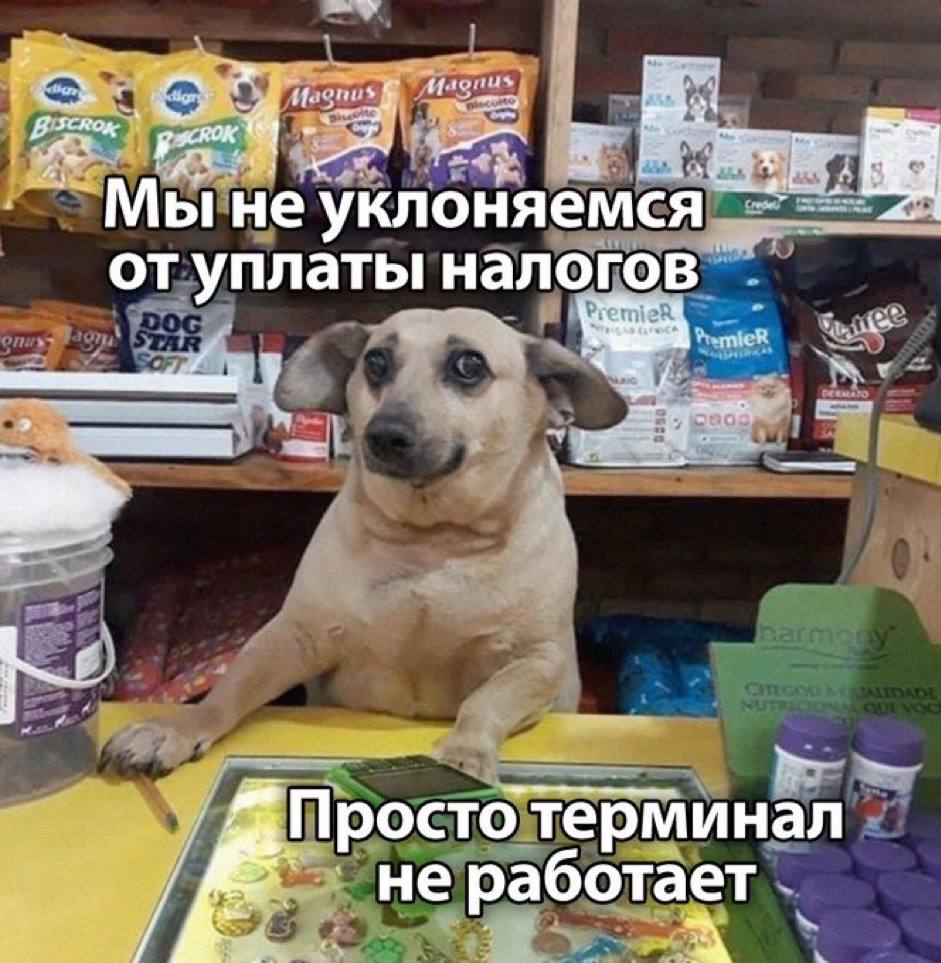 ’`Мынеуклоняемся от уплаты налогов Просто терминал не работает
