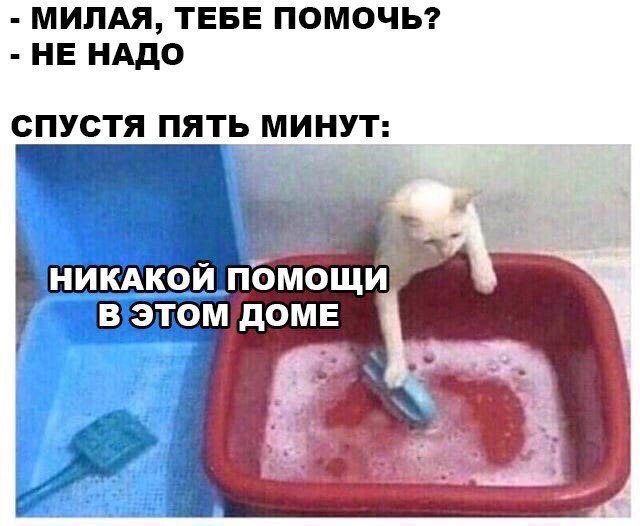 МИЛАЯ, ТЕБЕ ПОМОЧЬ? НЕ НАДО СПУСТЯ ПЯТЬ МИНУТ: НИКАКОЙ ПОМОЩИ ДОМЕ