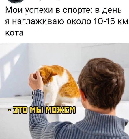 Мои успехи в спорте: в день я наглаживаю около 10-15 кота 370 МОЖЕМ a>