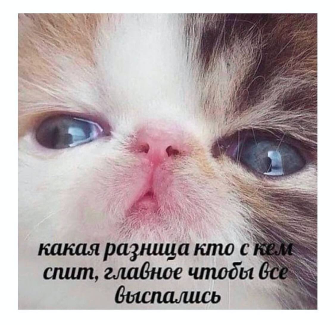 be 7 какая зница кто с спит, главное чтоды bei