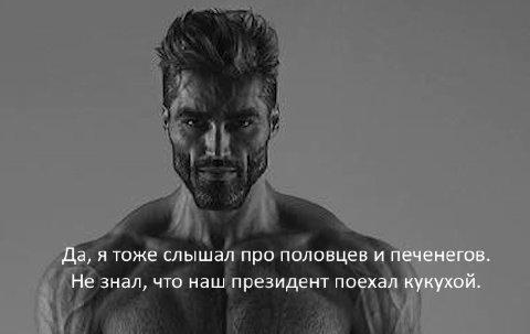 Да, я тоже слышал про половцев и печенегов. Не знал, что наш президент поехал кукухой.