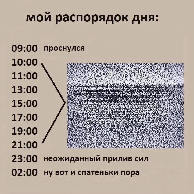 мой распорядок дня: 09:00 проснулся 11:00 15:00 17:00 19:00 21:00 неожи анный прилив сил 23:00 02:00 и спатеньки пора