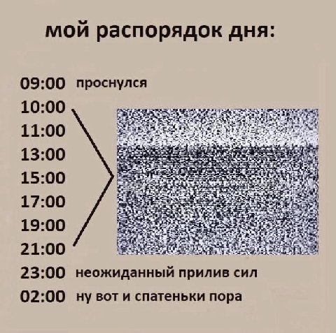 мой распорядок дня: 09:00 проснулся 11:00 15:00 17:00 19:00 21:00 неожи анный прилив сил 23:00 02:00 и спатеньки пора