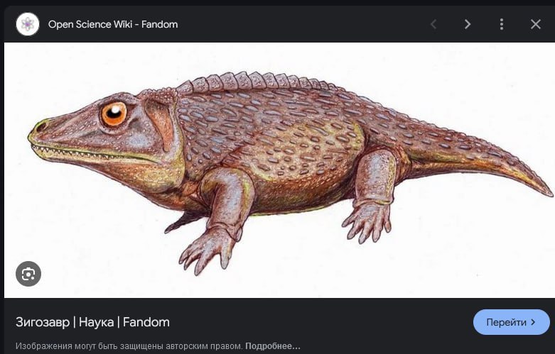 Open Science Wiki Fandom 4 Зигозавр Наука Fandom Перейти Изображения могут быть защищены авторским правом, Подробнее...