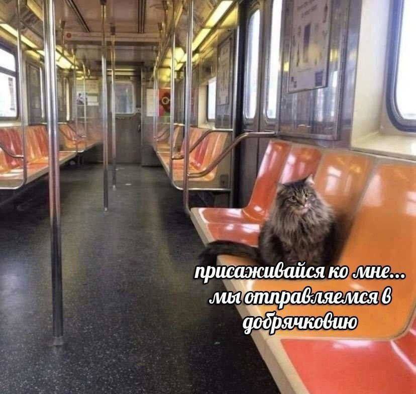 а he присаживайся 4 добрячковию