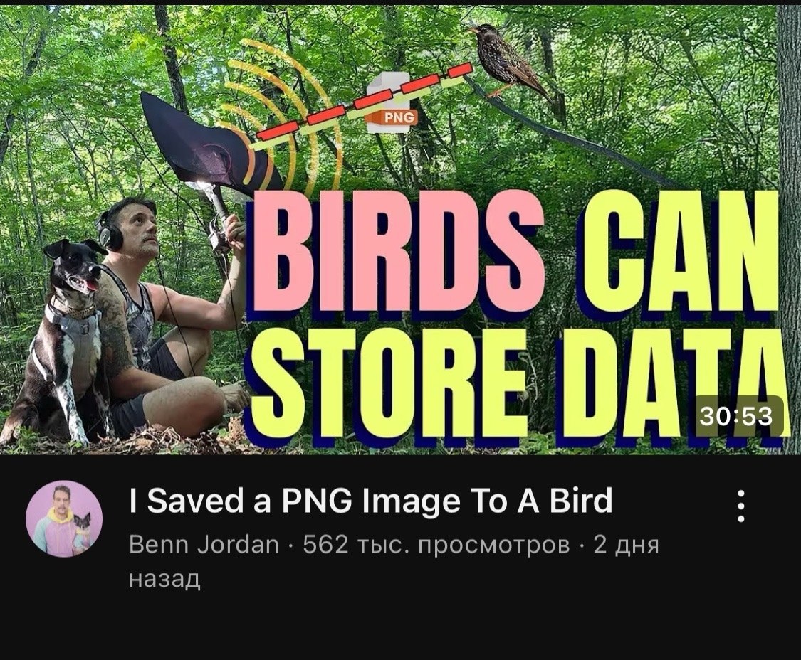i Hot a RDS CAN 30 53 TOR Saved а PNG Image То A Bird Benn Jordan 562 тыс. просмотров 2 дня назад