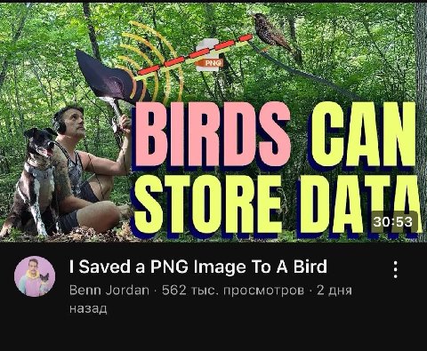 i Hot a RDS CAN 30 53 TOR Saved а PNG Image То A Bird Benn Jordan 562 тыс. просмотров 2 дня назад