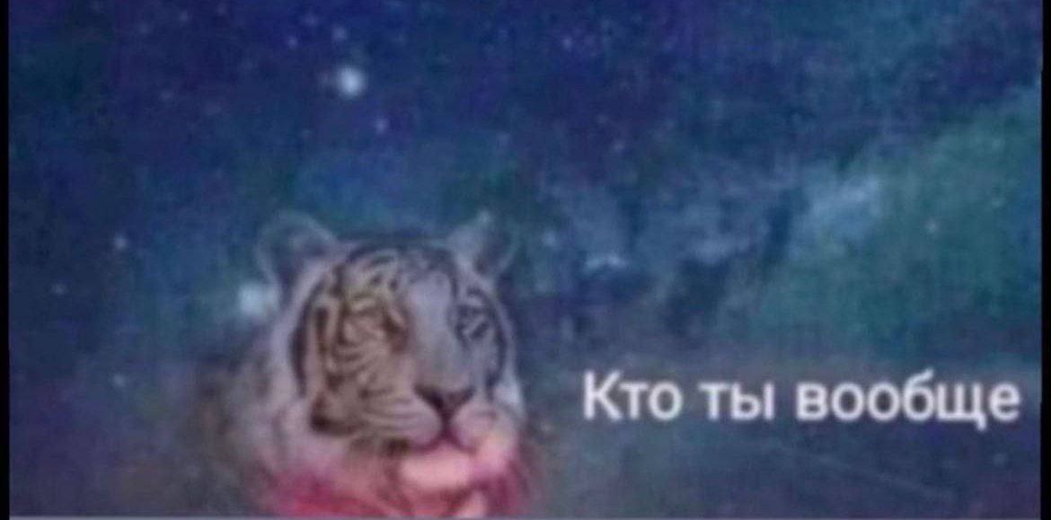 Кто ты вообще