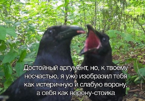 Вы 4 "2 Pon i, В a Nee? у Достойный аргумёнт, но, к твоему несчастью, я уже изобразил тебя как истеричную и слабую ворону, а себя как ворону-стоика