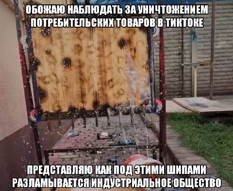 ОБОЖАЮ НАБЛЮДАТЬ ЗАУНИЧТОНЕНИЕМ ПОТРЕБИТЕЛЬСКИХ ТОВАРОВ В ТИКТОКЕ ПРЕДСТАВЛЯЮ КАК ШИПАМИ РАЗЛАМЫВАЕТСЯ ИНДУСТРИАЛЬНОЕ ОБЩЕСТВО