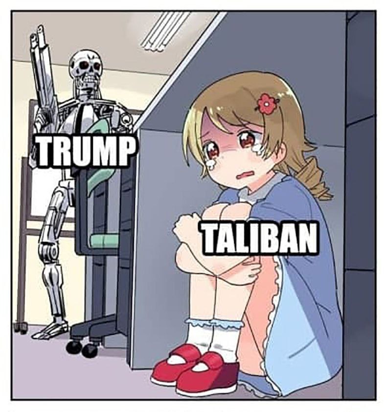 IN TRUMP,