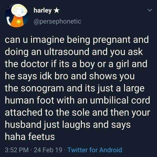 harley @persephonetic can и imagine being pregnant and doing an ultrasound and you ask the doctor if its a boy or a girl and he says idk bro and shows you the sonogram and its just a large human foot 