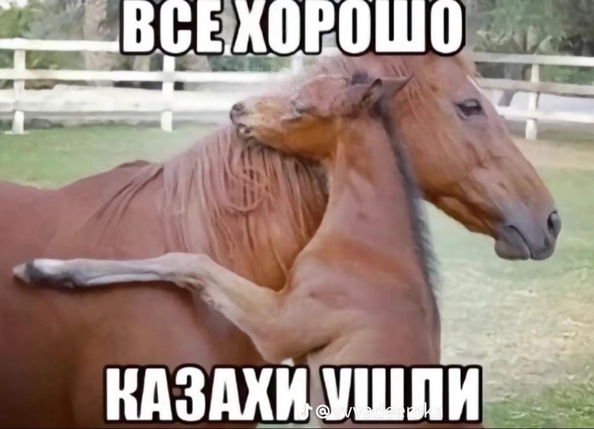 а ведь знаете моя татарская часть очень любит тар тар из конины