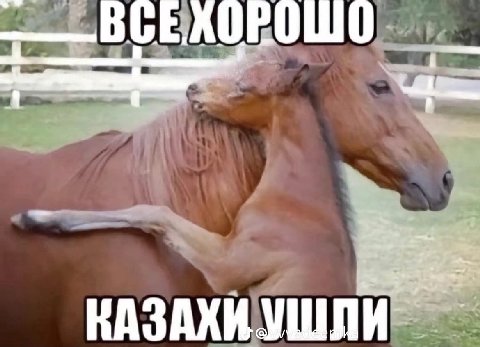 а ведь знаете моя татарская часть очень любит тар тар из конины