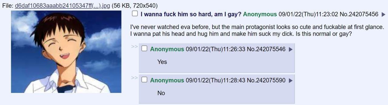 File: (56 wanna fuck him so hard, gay? Anonymous 09/01/22(Тпи)11:23:02 No.242075456 I've never watched eva before, but the main protagonist looks so cute and fuckable at first glance. wanna pat his he