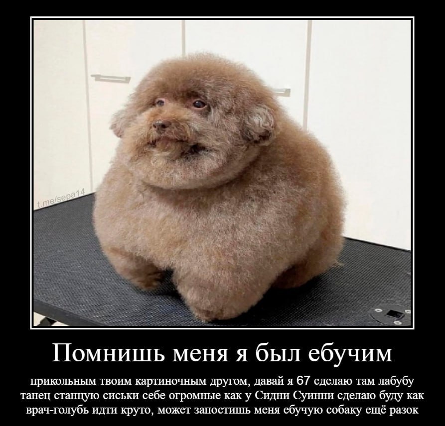 at a Помнишь меня я был ебучим прикольным твоим картиночным другом, давай я 67 сделаю там лабубу танец станцую сиськи себе огромные как у Сидни Суинни сделаю буду как врач-голубь идти круто, может зап