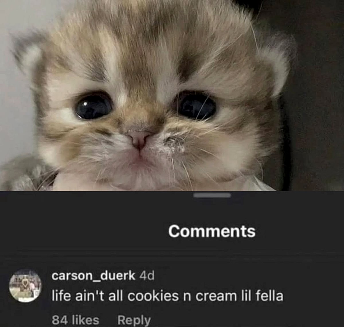Comments carson_duerk life ain't all cookies cream lil fella 84 likes Reply