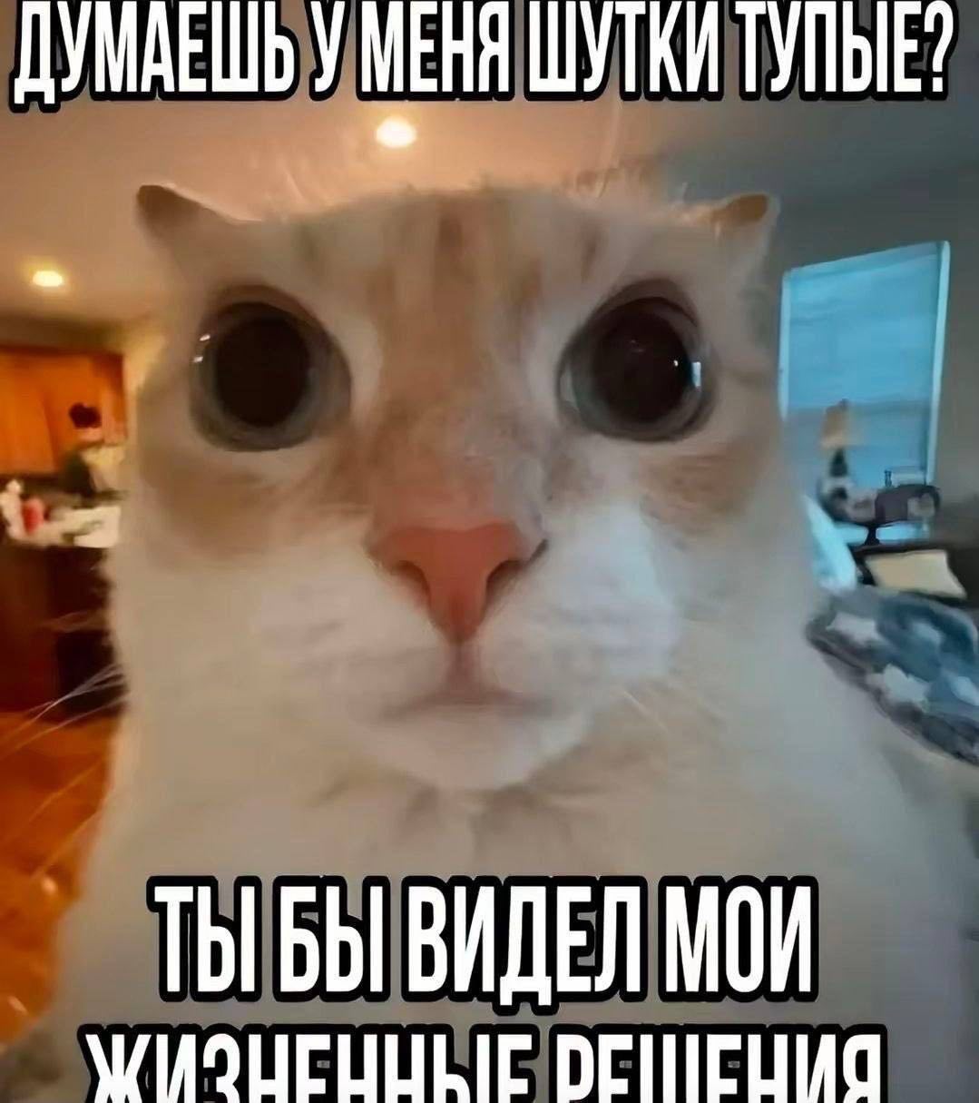 ДУМАЕШЬ УМЕНЯ ШУТКИ ТУПЫЕ? ТЫБЫ ВИДЕЛ МОИ
