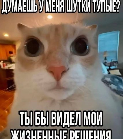 ДУМАЕШЬ УМЕНЯ ШУТКИ ТУПЫЕ? ТЫБЫ ВИДЕЛ МОИ
