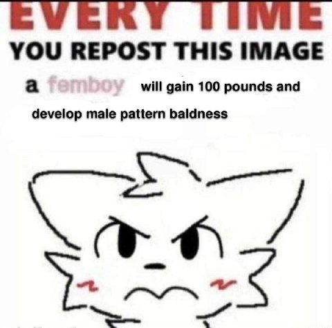 EVERY YOU REPOST THIS IMAGE a will gain 100 pounds and develop male pattern baldness