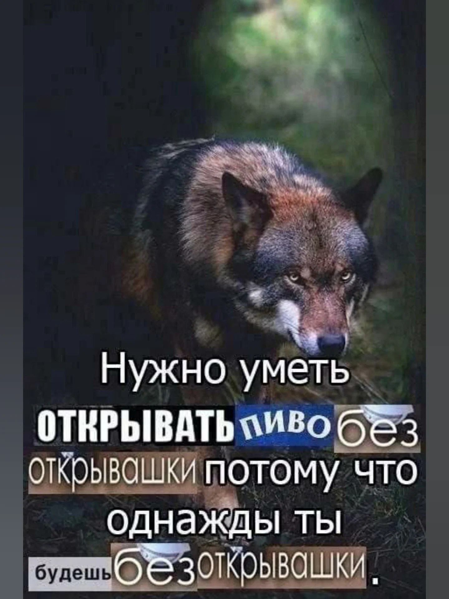 Нужно уметь ОТКРЫВАТЬ OTKObIBOLUKM потому что однажды ты