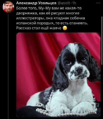 Александр Усольцев Более того, Му-Му вам не какая-то дворняжка, как её рисуют многие иллюстраторы, она «ладная собачка испанской породы», то есть спаниель. Рассказ стал ещё жалче о 4 у