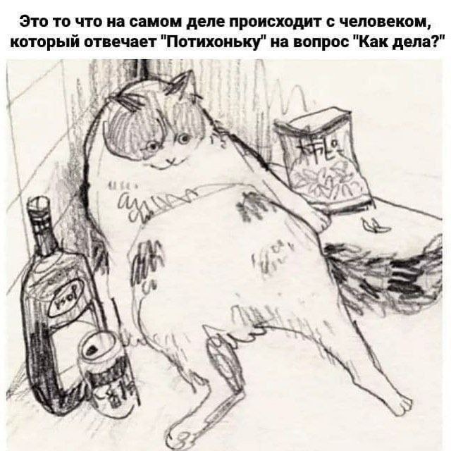 Это то что на самом деле происходит с человеком, который отвечает "Потихоньку" на вопрос "Как дела?" 1 Я у 3 и У у