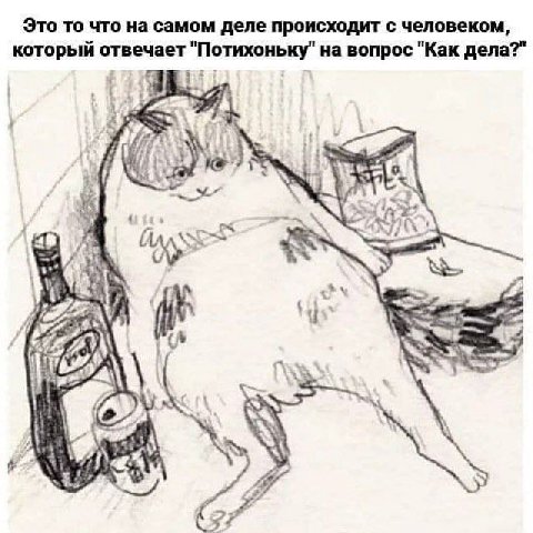 Это то что на самом деле происходит с человеком, который отвечает "Потихоньку" на вопрос "Как дела?" 1 Я у 3 и У у