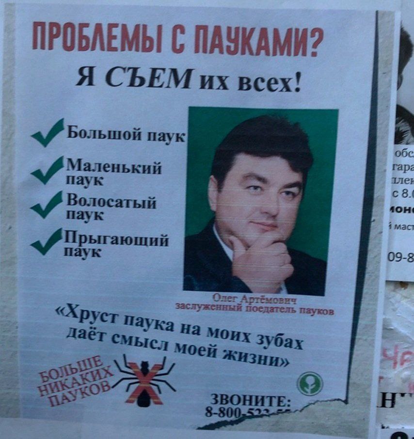 ПРОБЛЕМЫ С ПАУКАМИ? Я СЪЕМ всех! Большой паук 06 rap Маленький с 8.1 Волосатый 09-8 зас луженный оедател пауко Oner А “Xpyer Моих зубах Жизни»
