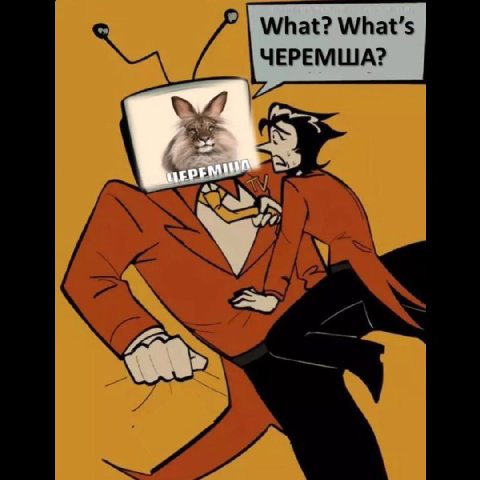 What? What’s ЧЕРЕМША?