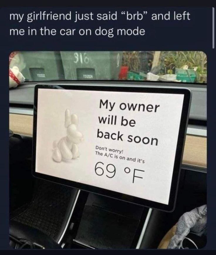 my girlfriend just said and left me inthe car on dog mode омпег Will be с SOOn 1 The and it's 69 о