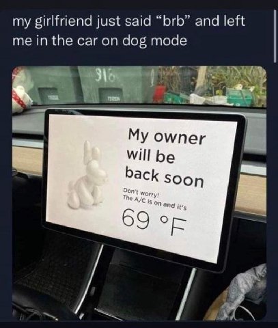 my girlfriend just said and left me inthe car on dog mode омпег Will be с SOOn 1 The and it's 69 о
