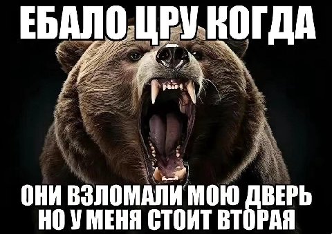 0 ЕБАЛ ОГДА ОНИ ВЗЛОМАЛИ МОЮ ДВЕРЬ НО УМЕНЯ СТОИТ ВТОРАЯ