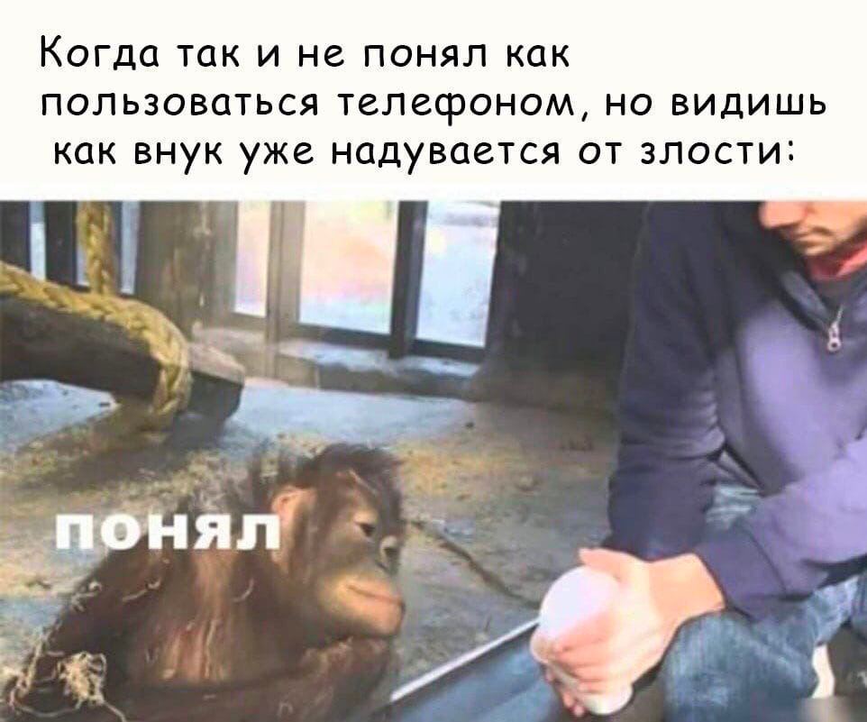 Когда так и не понял как пользоваться телефоном, но видишь как внук уже надувается от злости: