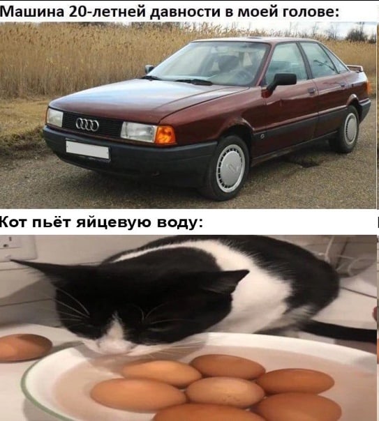 ашина 20-летней давности моей голове: от пьёт яйцевую воду: Я