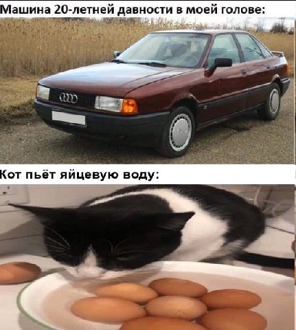 ашина 20-летней давности моей голове: от пьёт яйцевую воду: Я