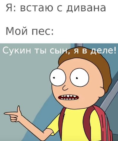 Я: встаю с дивана Мой пес: Сукин ты сын, я в деле!
