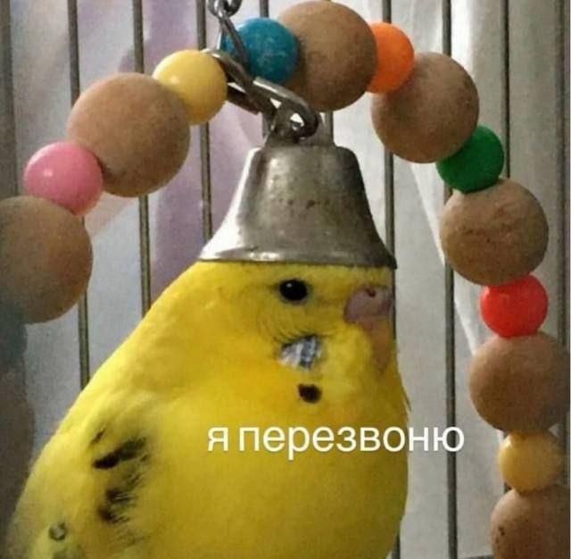 яперезвоню