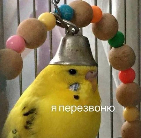 яперезвоню