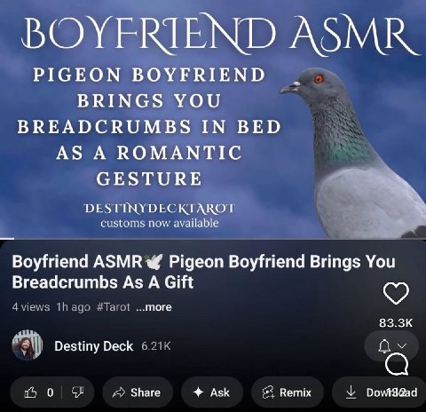 PIGEON BOYFRIEND BRINGS YOU BREADCRUMBS IN BED AS A ROMANTIC GESTURE customs пом available Boyfriend ASMR +4 Pigeon Boyfriend Brings You Breadcrumbs As A Gift more Destiny Deck 0 Share Ask Remix