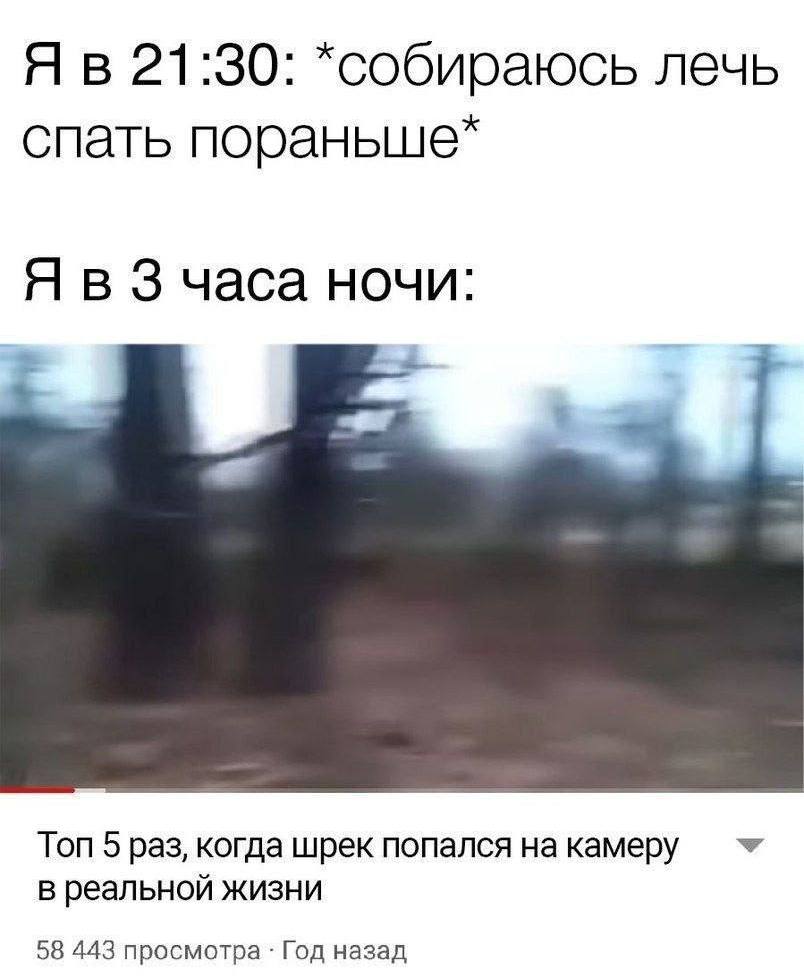 21:30: *собираюсь лечь спать пораныше* Я в 3 часа ночи: Топ 5 раз, когда шрек попался на камеру реальной ЖИЗНИ 58 443 просмотра Год назад
