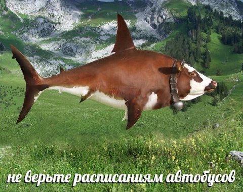 i ray У у у i у 2 2 1 He верьте расписаниям fos a
